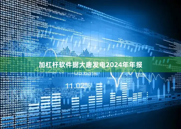 加杠杆软件据大唐发电2024年年报