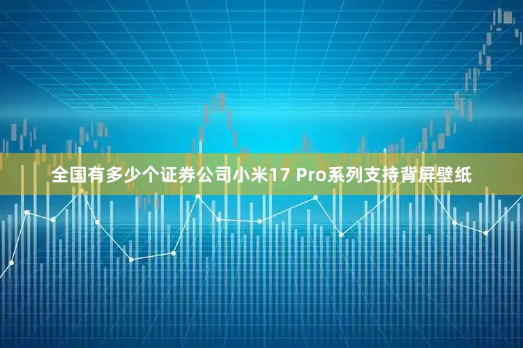 全国有多少个证券公司小米17 Pro系列支持背屏壁纸